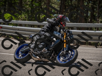 20250601120143-Z62_5616_am_