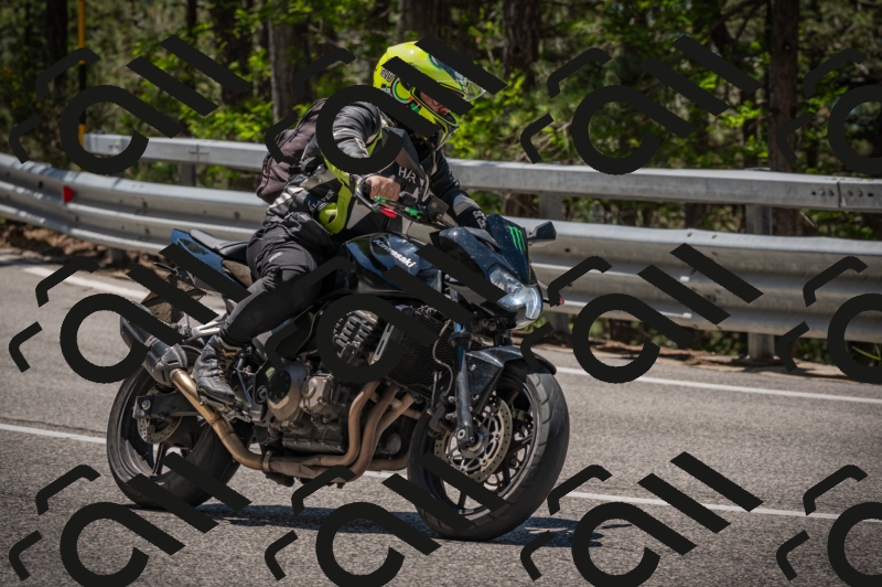 20250601120204-Z62_5633_am_