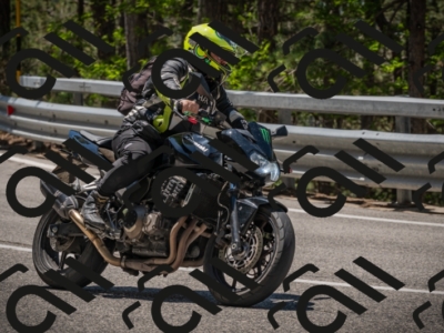 20250601120204-Z62_5633_am_