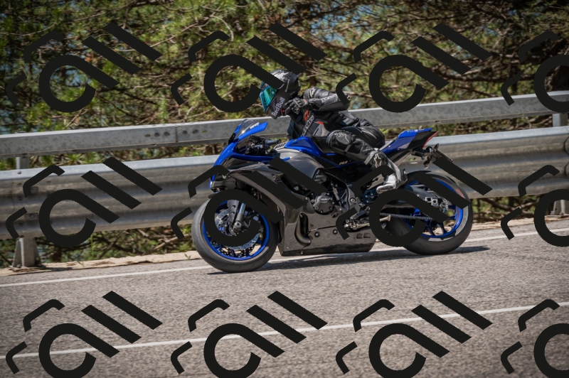 20250601120226-Z62_5643_am_