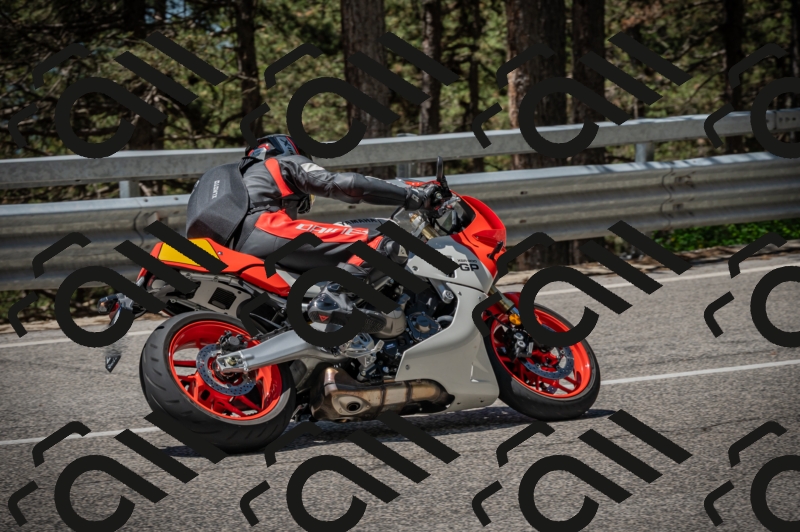 20250601120302-Z62_5675_am_
