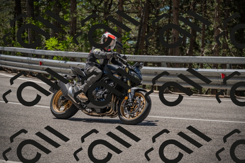 20250601120329-Z62_5688_am_