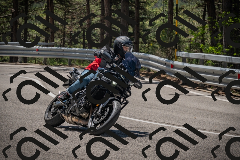 20250601120412-Z62_5717_am_