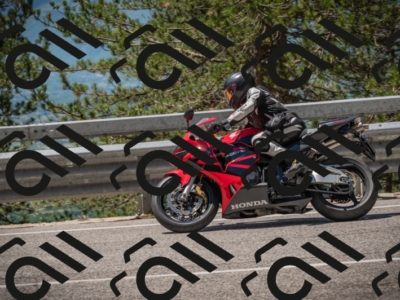 20250601120448-Z62_5736_am_