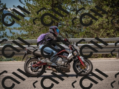 20250601120510-Z62_5756_am_