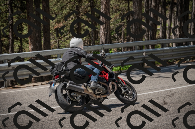 20250601120523-Z62_5761_am_