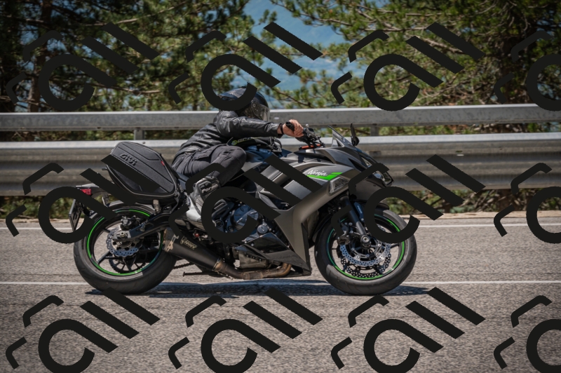 20250601120731-Z62_5808_am_