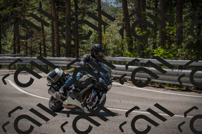 20250601121035-Z62_5849_am_