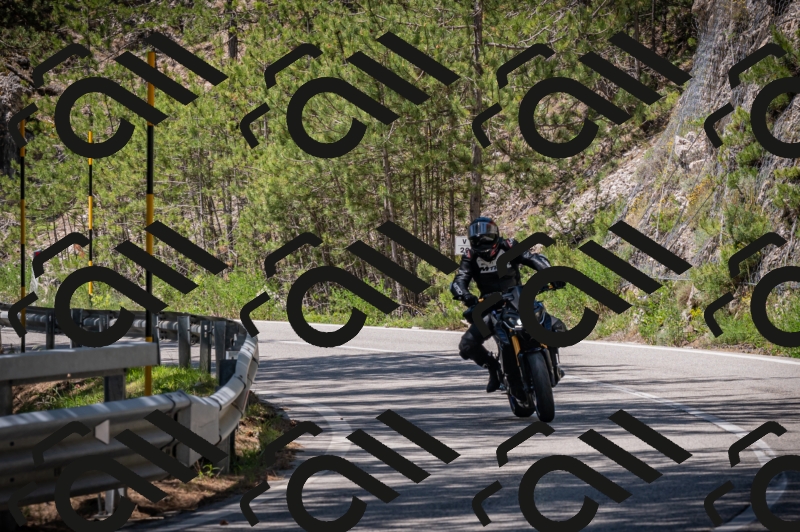 20250601121405-Z62_5898_am_