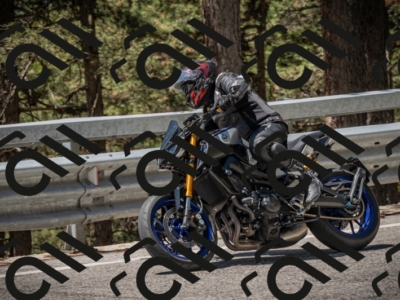 20250601121408-Z62_5900_am_