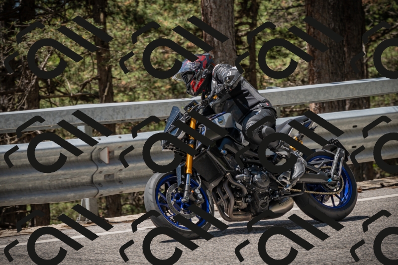 20250601121408-Z62_5900_am_