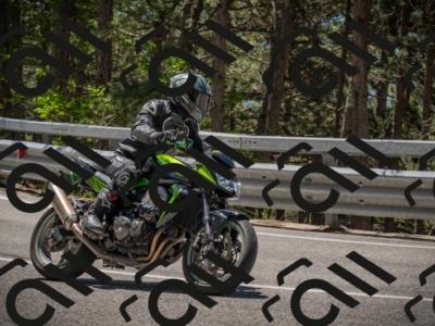 20250601121512-Z62_5926_am_