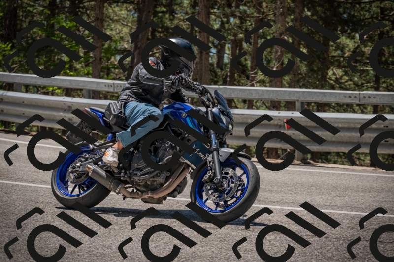 20250601121529-Z62_5940_am_