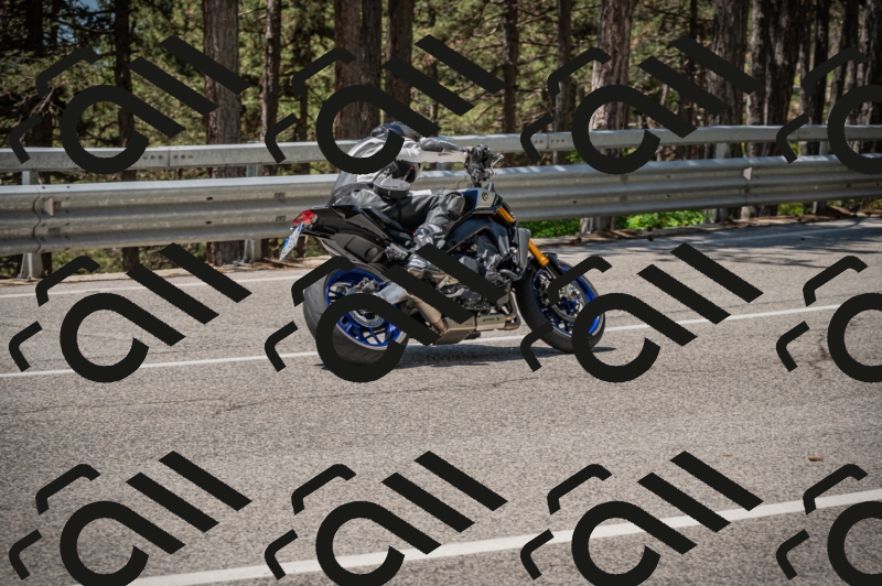 20250601121621-Z62_5953_am_