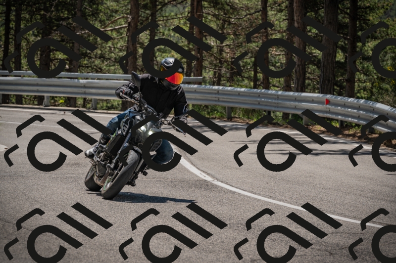 20250601121701-Z62_5967_am_