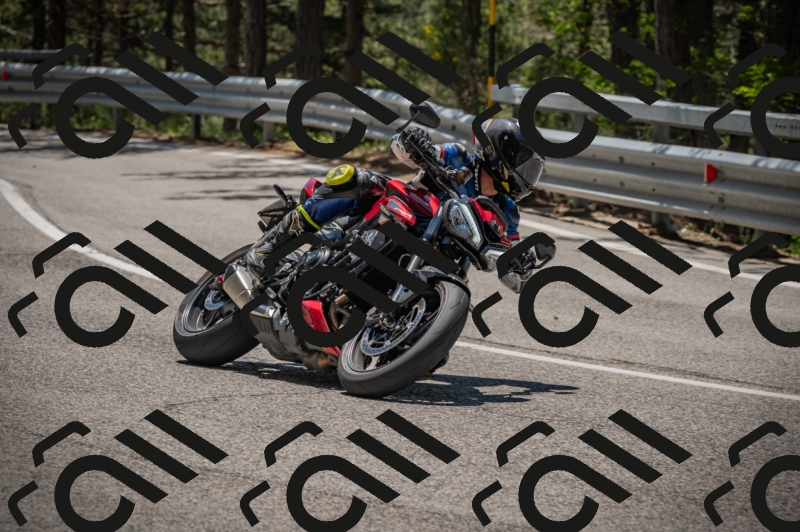 20250601121705-Z62_5973_am_