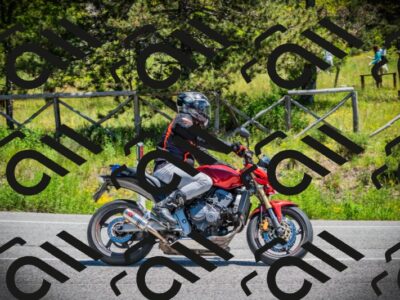 202505311246-DSC02169_c1_