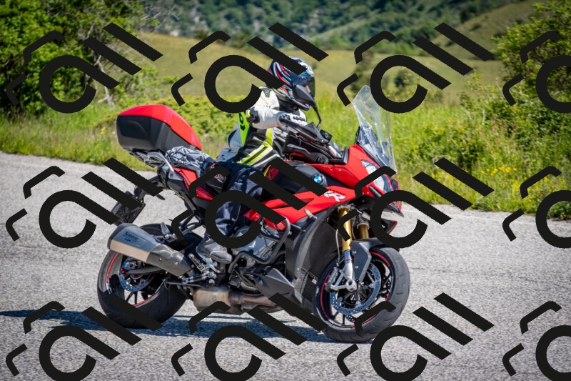 202505311019-DSC_4113_c2