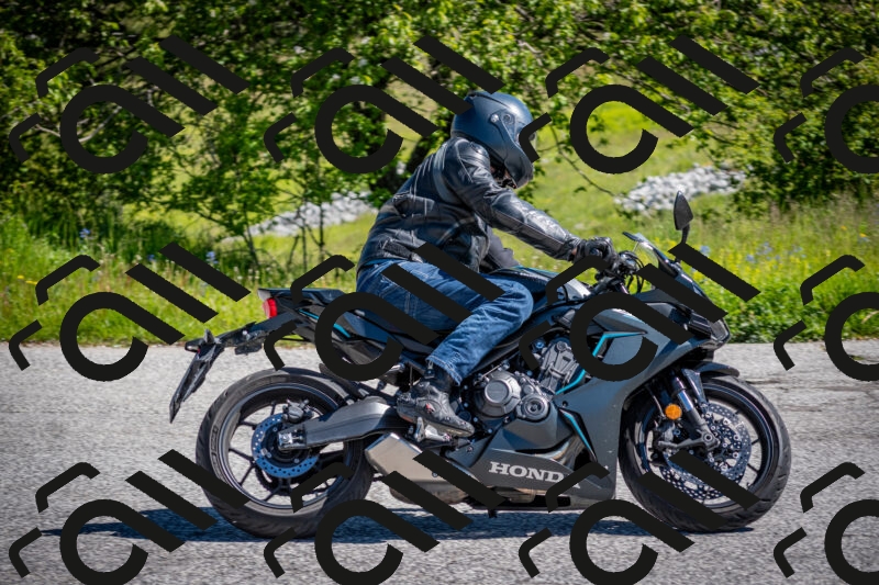 202505311019-DSC_4122_c2