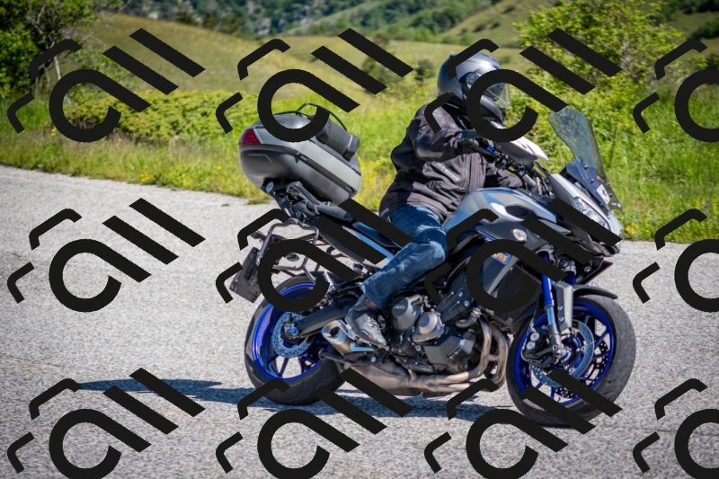 202505311019-DSC_4127_c2