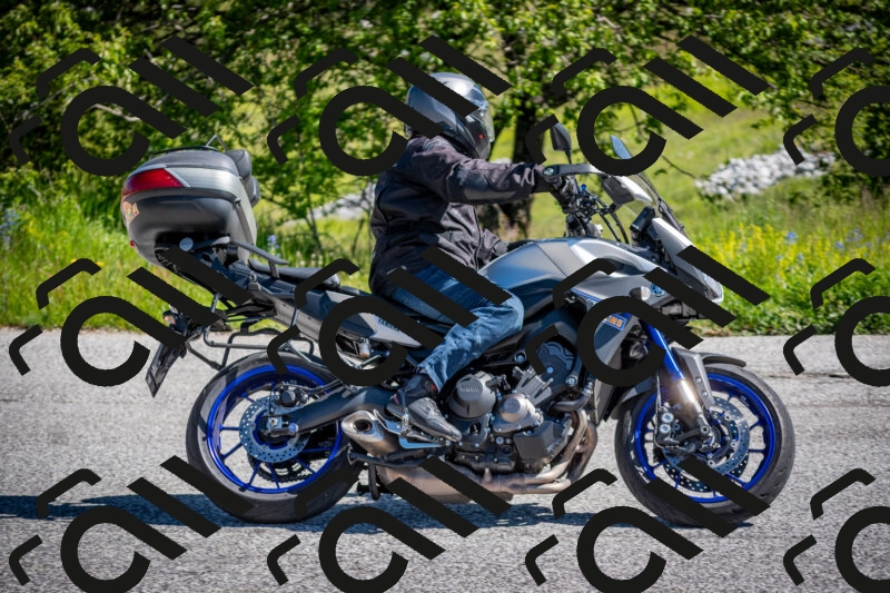 202505311019-DSC_4128_c2