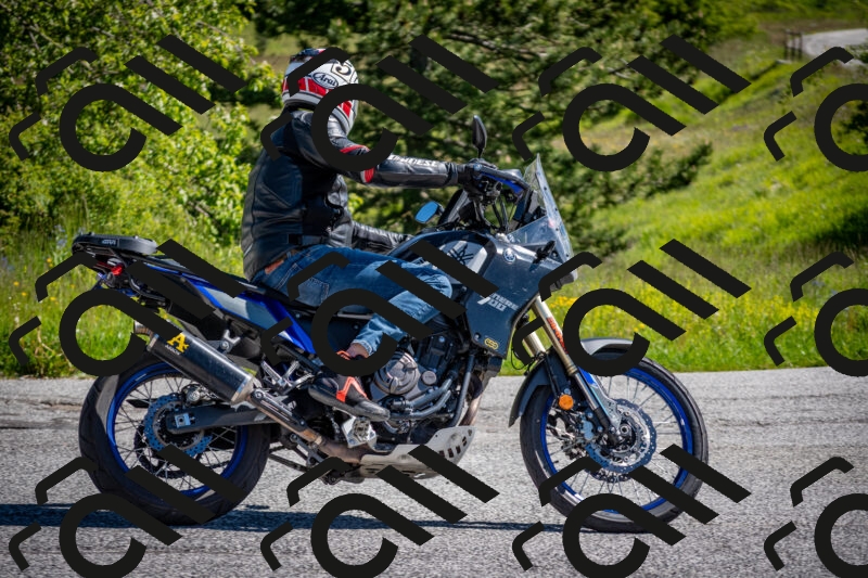 202505311020-DSC_4138_c2