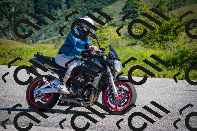 202505311022-DSC_4153_c2