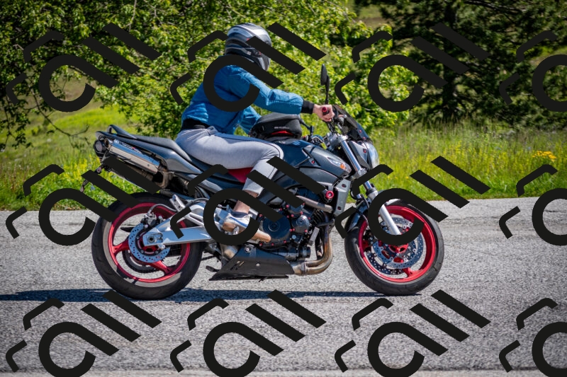 202505311022-DSC_4154_c2