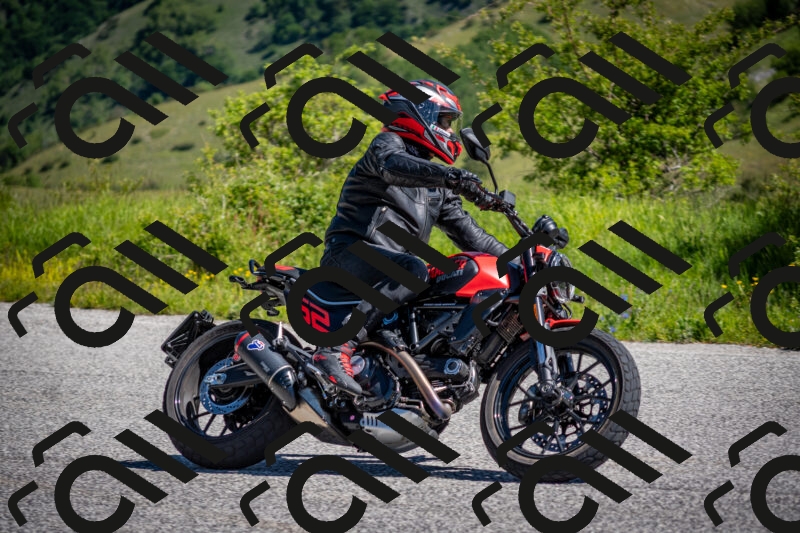 202505311033-DSC_4201_c2