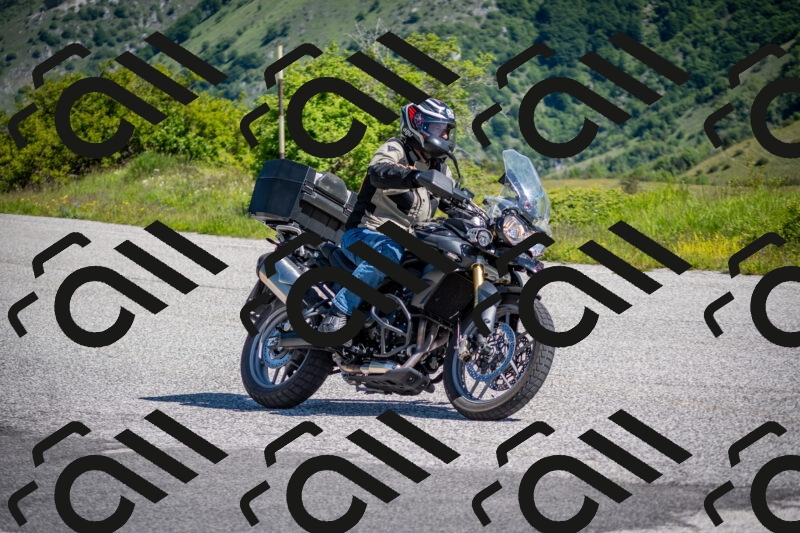 202505311034-DSC_4204_c2