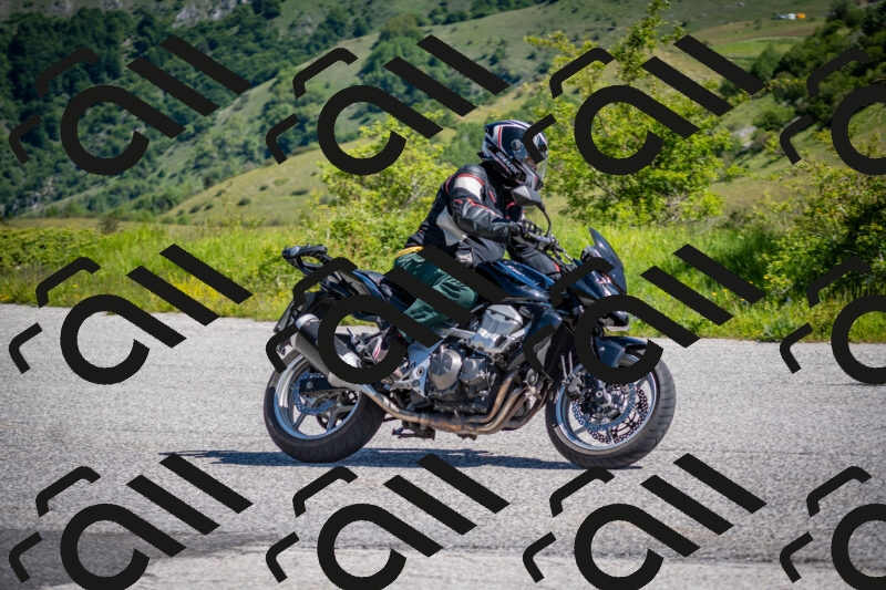 202505311034-DSC_4209_c2