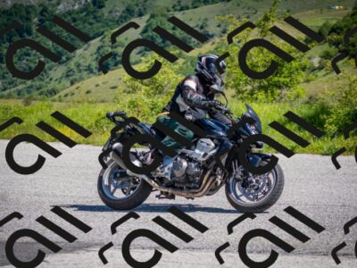 202505311034-DSC_4209_c2