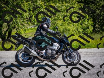 202505311034-DSC_4211_c2