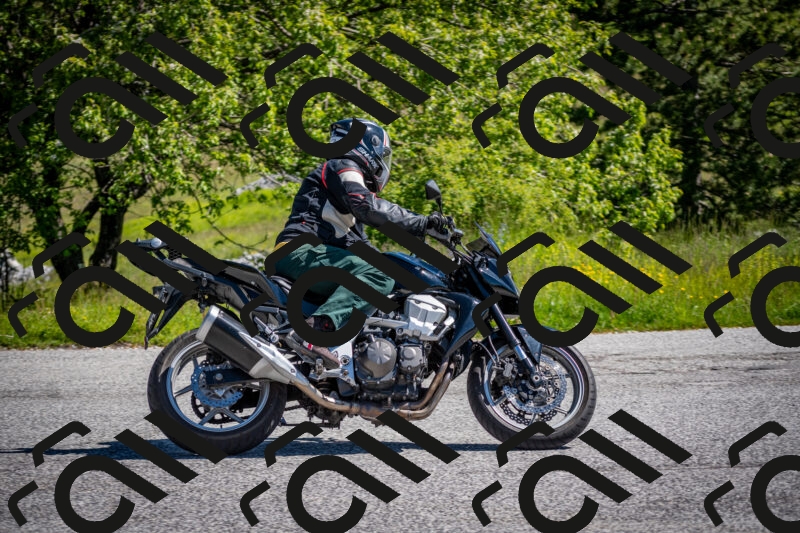 202505311034-DSC_4211_c2