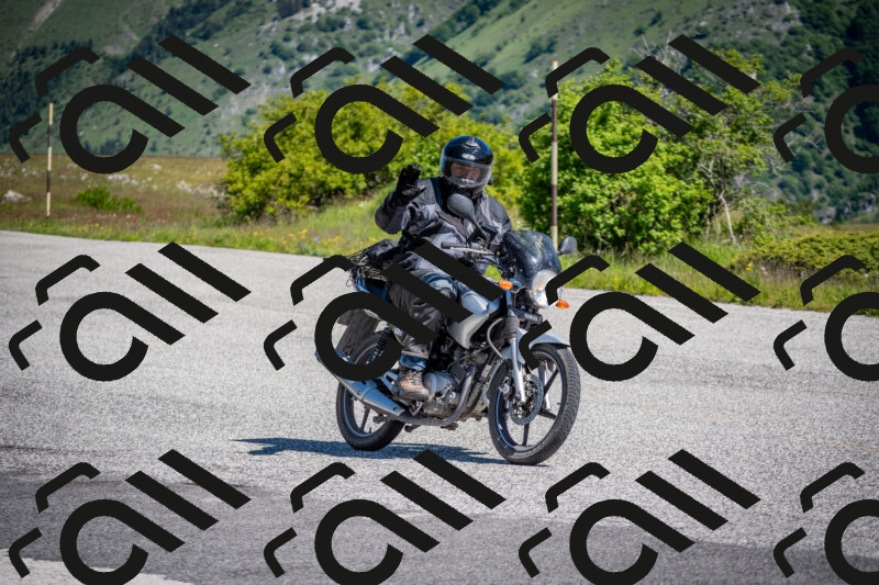 202505311037-DSC_4212_c2