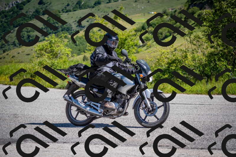 202505311037-DSC_4213_c2