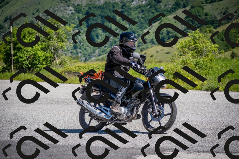 202505311037-DSC_4214_c2