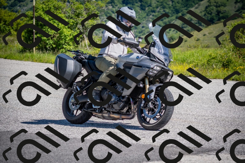 202505311043-DSC_4233_c2