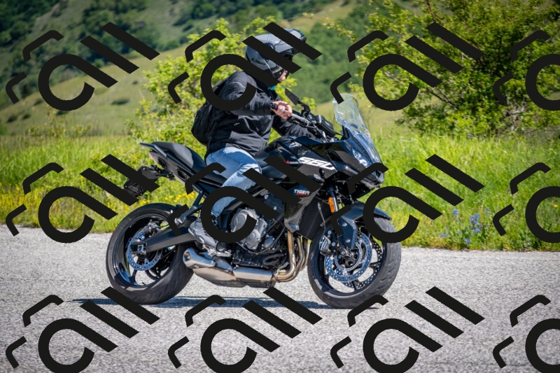 202505311057-DSC_4282_c2