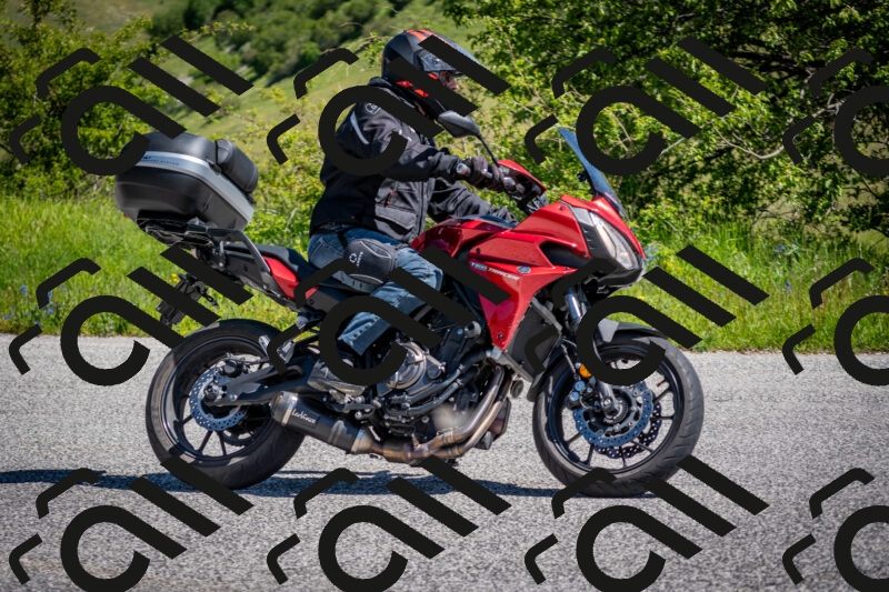 202505311057-DSC_4286_c2