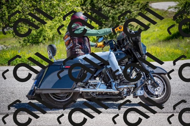 202505311100-DSC_4298_c2