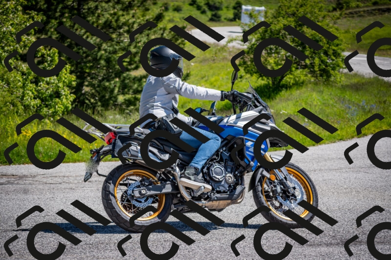 202505311101-DSC_4301_c2