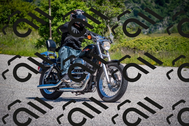 202505311111-DSC_4341_c2