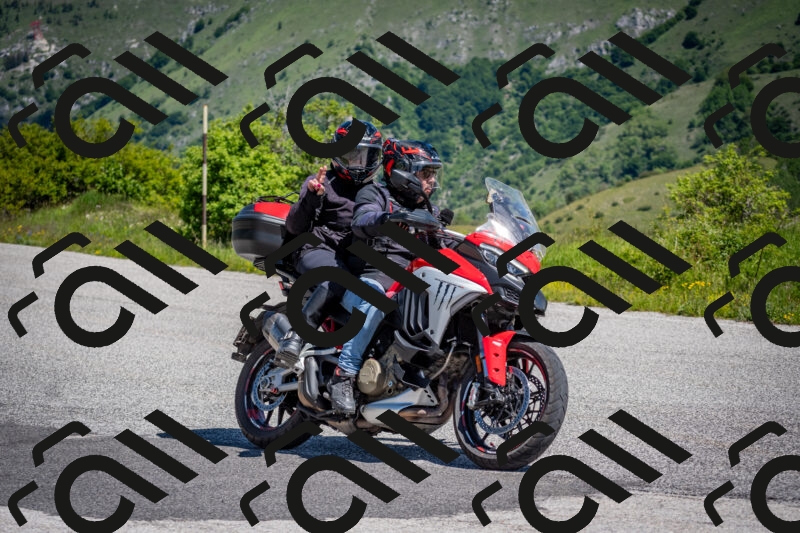 202505311120-DSC_4410_c2