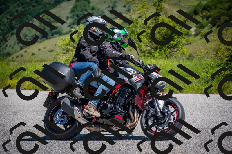 202505311124-DSC_4417_c2