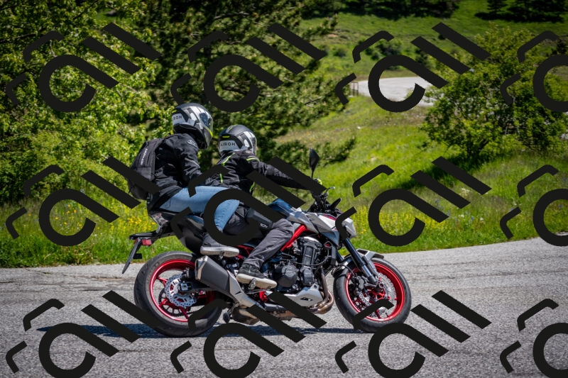 202505311124-DSC_4421_c2