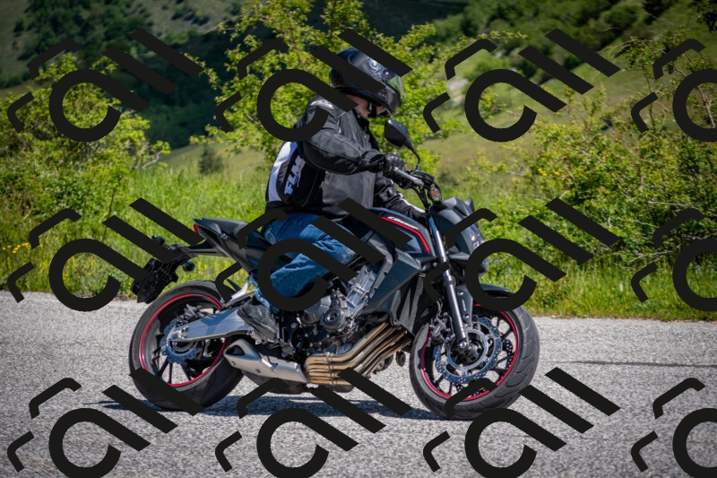 202505311125-DSC_4425_c2