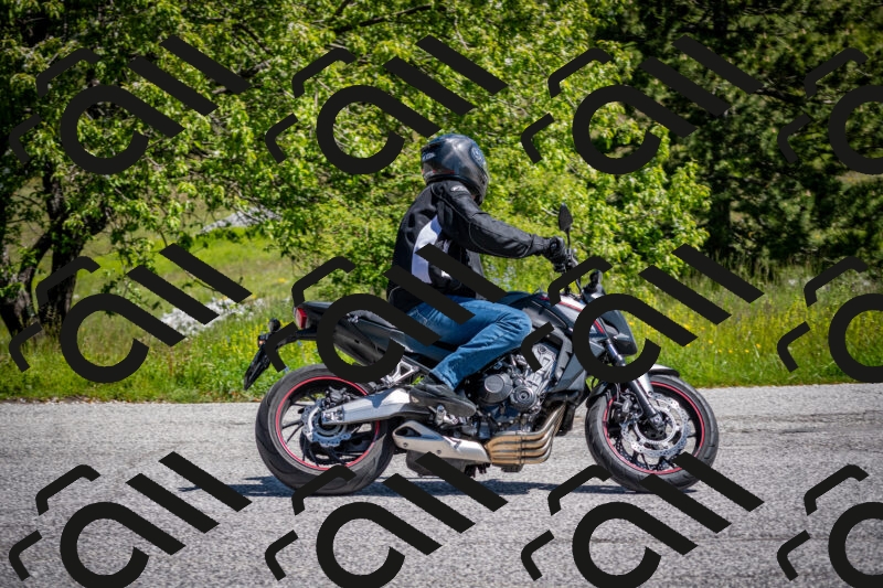 202505311125-DSC_4426_c2