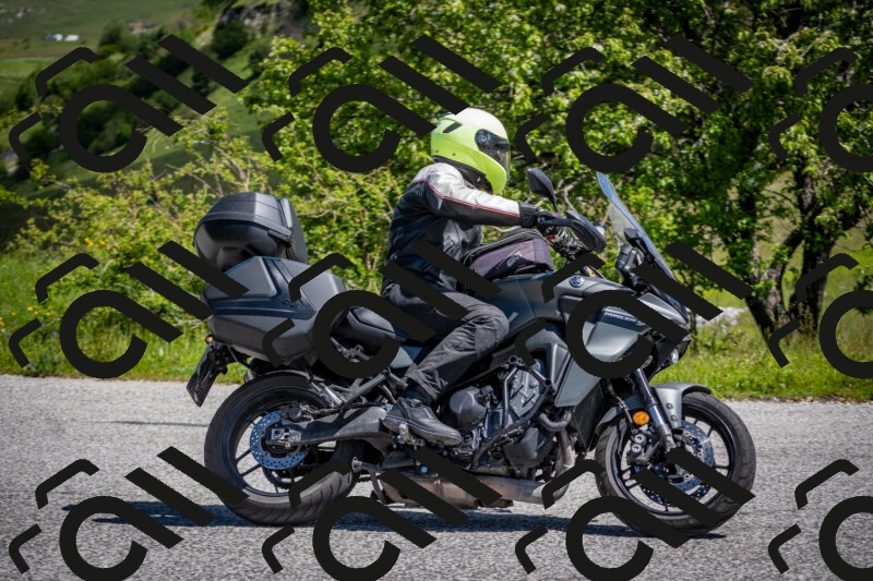 202505311126-DSC_4428_c2