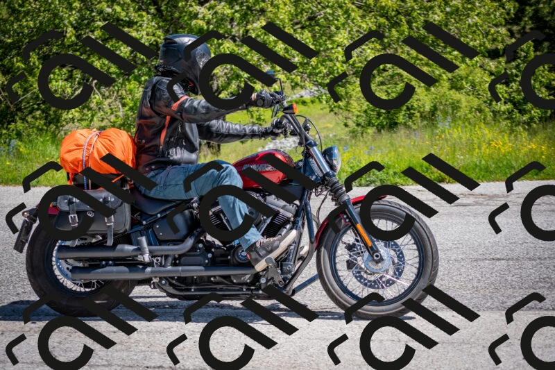 202505311127-DSC_4432_c2